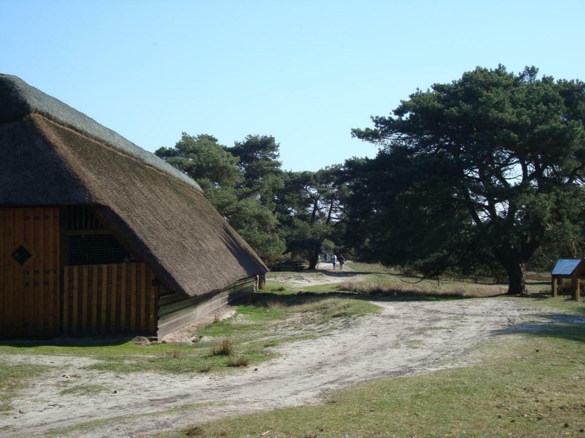 Strandlust II Petersfeld Zewnętrze zdjęcie