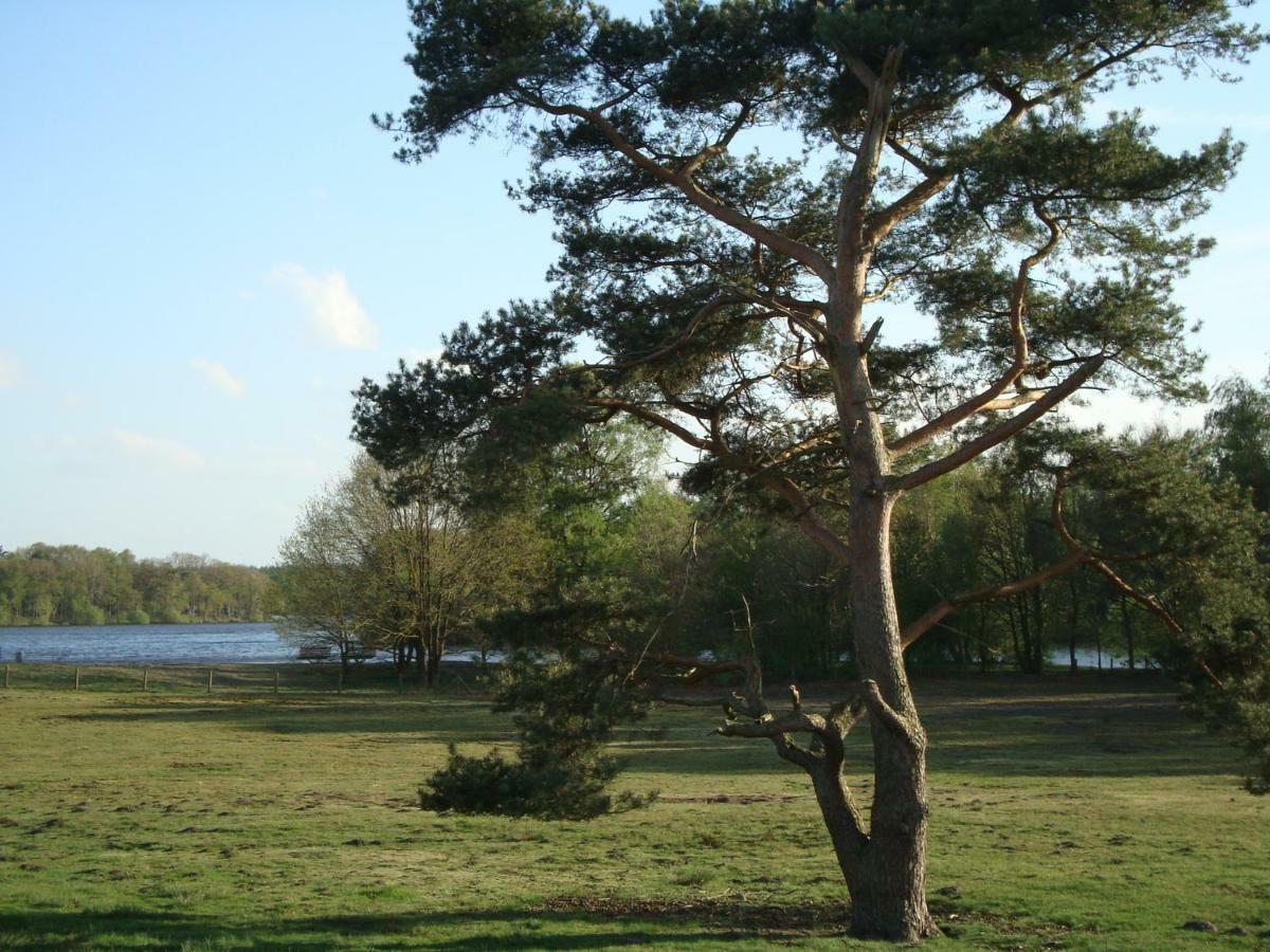 Strandlust II Petersfeld Zewnętrze zdjęcie